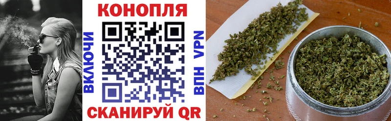 Бошки Шишки планчик Зима